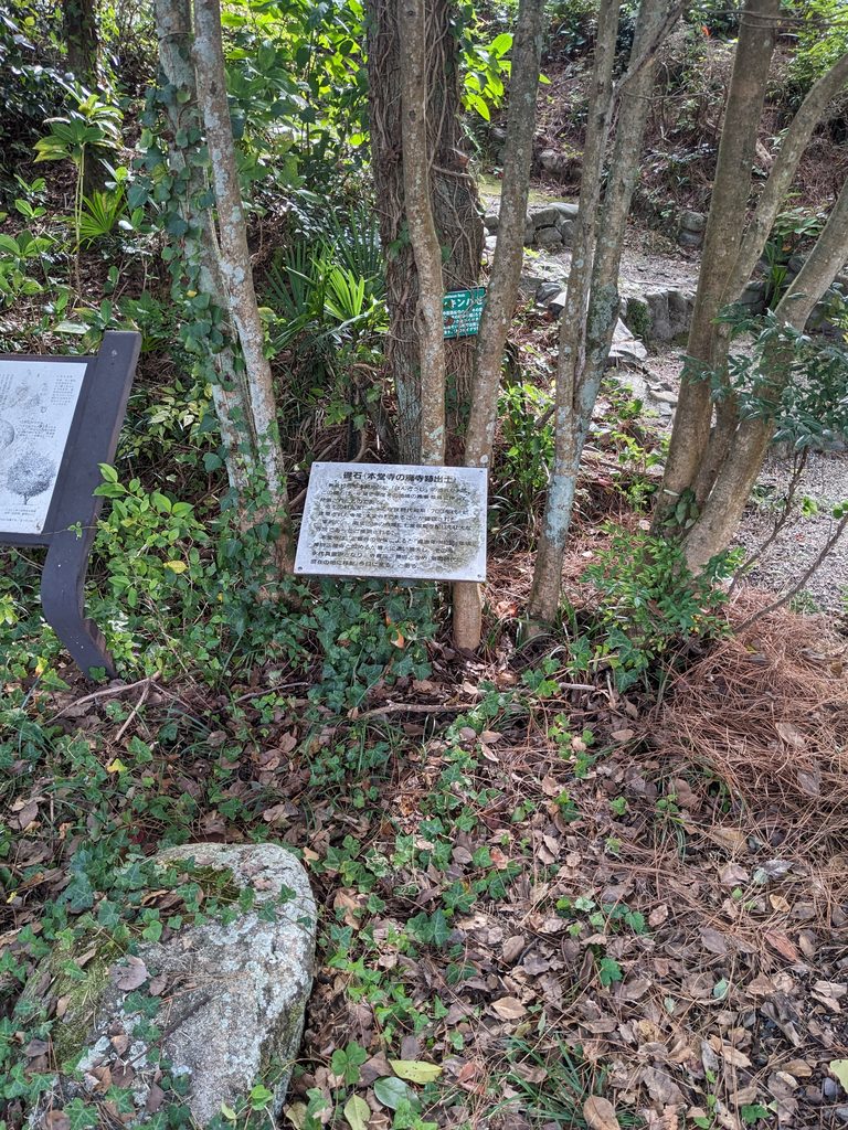 植栽の足元に展示された礎石と解説板